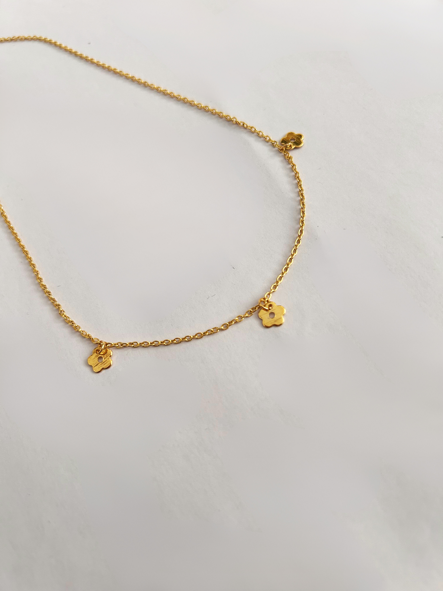 Collar SPRING