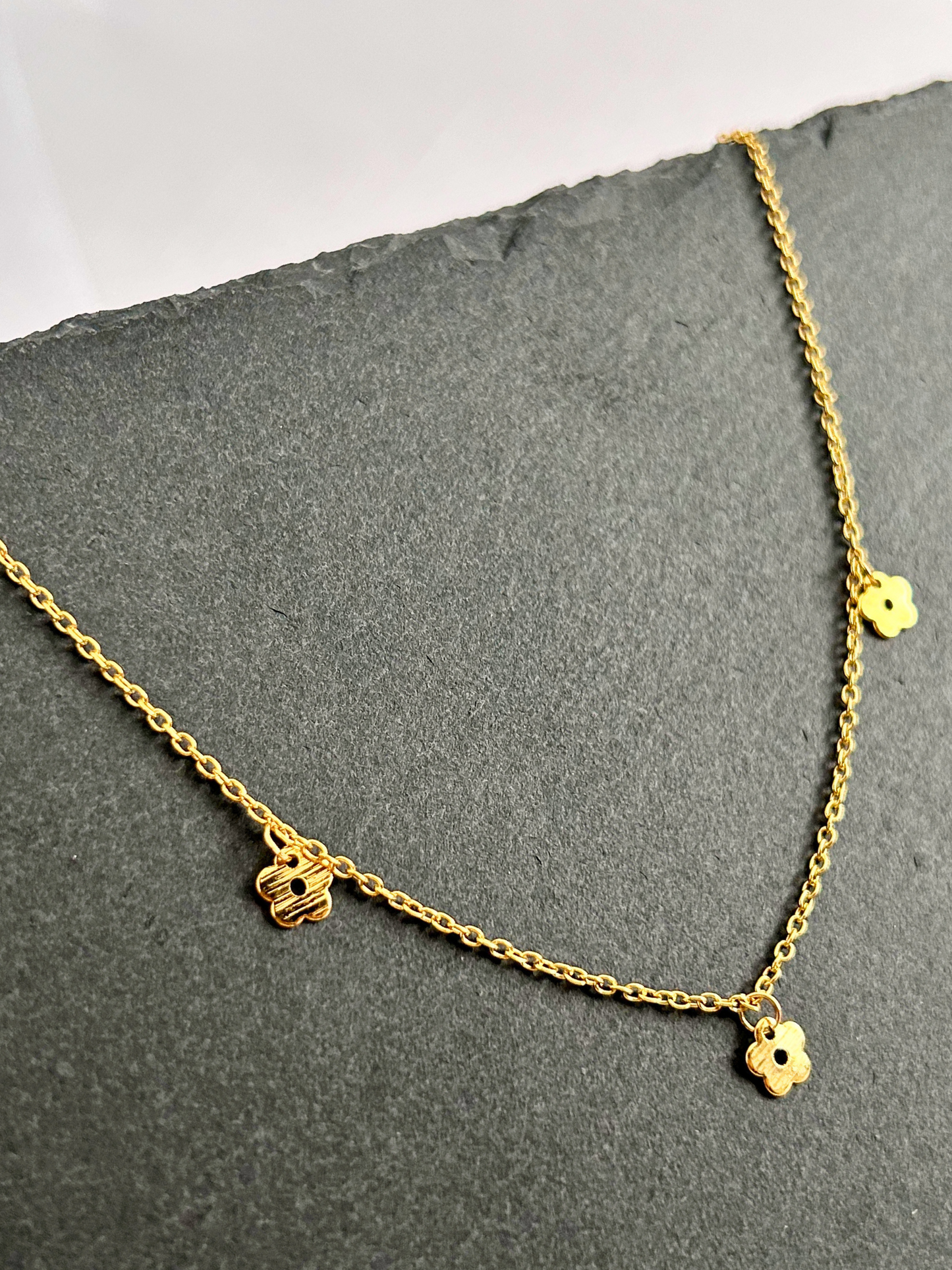 Collar SPRING