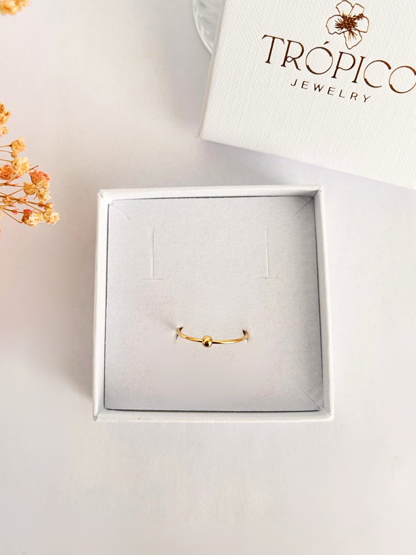 Anillo SPIN