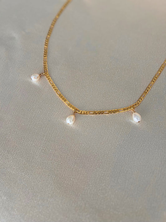 Choker Muse con cadena fígaro y perlas