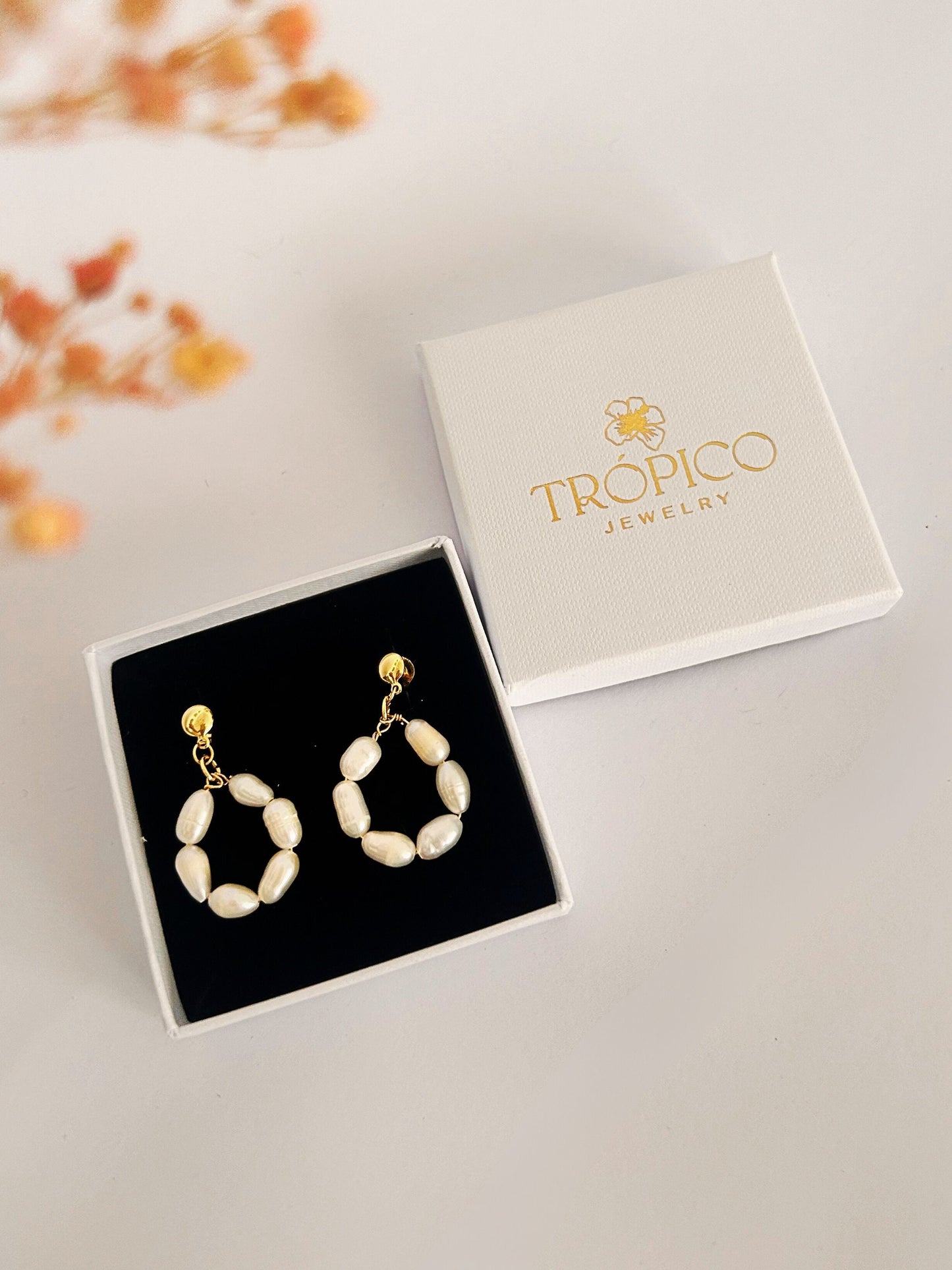 Pendientes GRACE